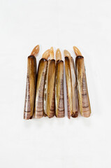 Grooved razor shell on white background