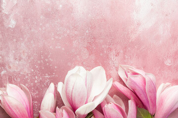 Flower composition. Border of pink magnolia flowers on pink concrete background. Flat lay. Top view