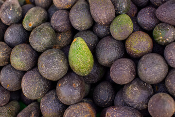Avocado at the local market. Avocado background