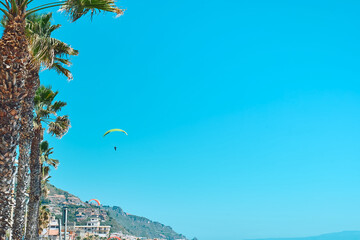 Paragliding. Paraplane flying in clear blue sky near the palms. Sport extreme.