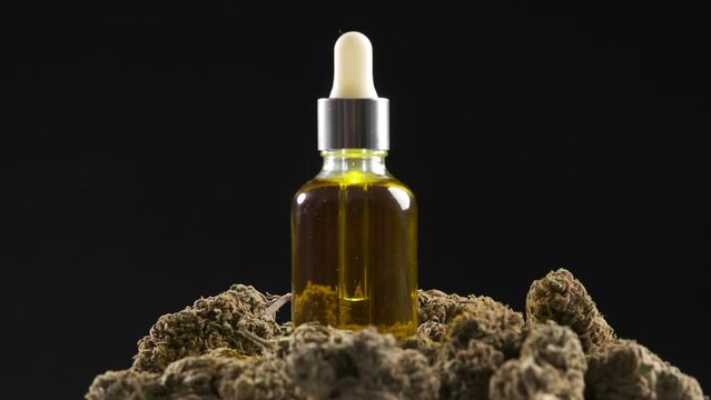 Marijuana buds with a bottle of CBD Hemp oil on a darkness background.