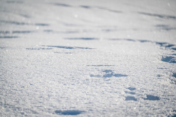 Obraz premium Winter in the San Vigilio di Marebbe valley of the Dolomites