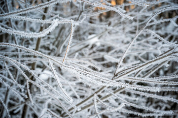 Winter in the San Vigilio di Marebbe valley of the Dolomites