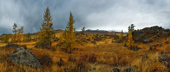 Russia. The South of Western Siberia, the Altai Mountains. The beginning of autumn on picturesque...