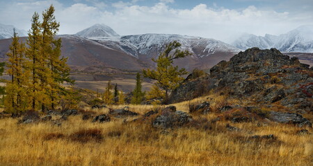 Russia. The South of Western Siberia, the Altai Mountains. The beginning of autumn on picturesque...