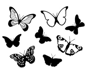 Vector hand drawn illustration set of Butterflies. Black Butterfly collection. Isolated silhouette on white background