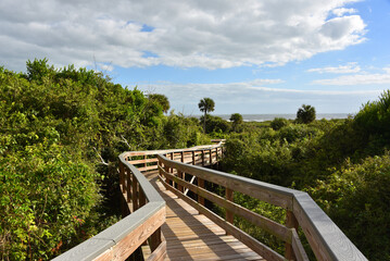 Fototapeta na wymiar Florida- Close Up of an Elevated Wooden Walkway Through Tropical Bushes to the Beach