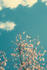 Spring vibes
