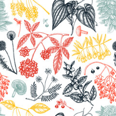 Adaptogenic plants seamless pattern. Hand-sketched medicinal herbs, weeds, berries, leaves vector background. Perfect for labels, packaging, wrapping paper, fabric. Botanical illustration in color