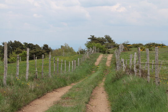 chemin sur les estives auvergnates