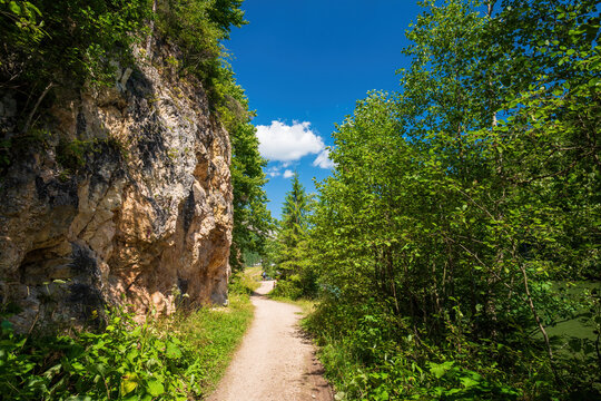 Road to famous Lacul Rosu or Red Lake, Eastern Carpathians, Harghita County, Romania