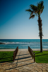 pathway to the beach and ocean