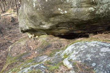 Huge stones in a spring pine forest, Skripino village Ulyanovsk, Russia. the stone in the forest. (Skrzypinski Kuchury)