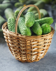 young fresh green cucumbers in a basket