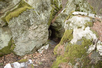 Huge stones in a spring pine forest, Skripino village Ulyanovsk, Russia. the stone in the forest. (Skrzypinski Kuchury)