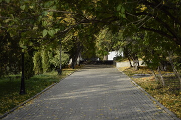 Fototapeta premium Crown Avenue. Volga Embankment in Ulyanovsk, Russia Autum.