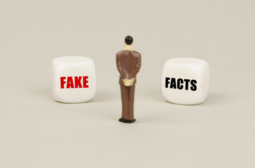 A human figurine stands in front of white cubes with inscriptions - fake or facts