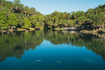 Fototapeta na wymiar Clear blue waters of gemini springs in DeBary, Florida