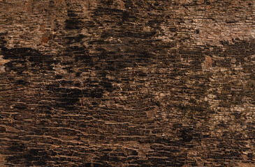 Brown wooden background, close-up wood structure