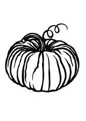 Pumpkin Outline, Thanksgiving ,Pumpkin ,Fall Pumpkin, Halloween, Autumn pumpkin outline, Hand drawing