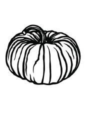 Pumpkin Outline, Thanksgiving ,Pumpkin ,Fall Pumpkin, Halloween, Autumn pumpkin outline, Hand drawing