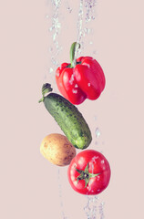 potato, tomato, cucumber, pepper in water splash, flying food