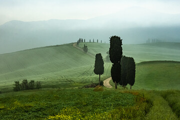 Tuscany in Italy Foggy Morning Sunrise