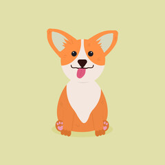 Dog Corgi isolated on white background. Puppy . illustration in a flat cartoon. Corgi dog vector. Cute friendly welsh corgi puppy sitting