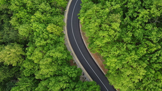 Aerial shot of a winding road passing through a beautiful dense green forest © VladaKg03