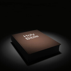 Holy Bible Book