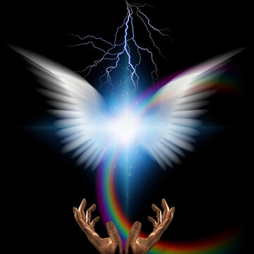 White wings and radiating light