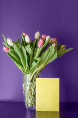 Multicolored tulips in transparent vase and yellow envelope on violet background.