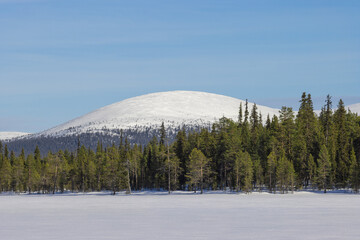 frozen lake, snow capped mountain, green forest, blue sky, finnish lapland