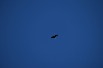 La Plaine 8 Mai 2022 (Filtre Nd)