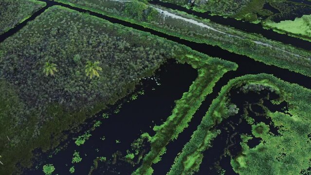 lake sunset pond water swamp aerial drone shot