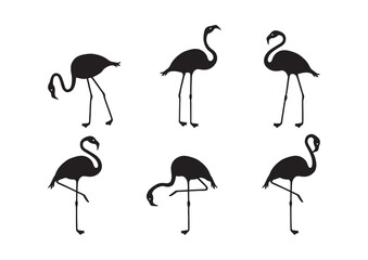 Flamingo vector icon, tropical bird, summer animal set, cute zoo character, black silhouettes isolated on white background. Exotic fauna illustration