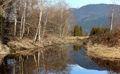 Tranquil river in the middle of the mountain valley
