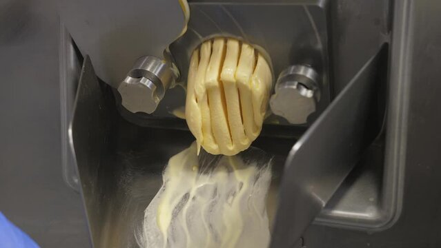 Confectioner is working on ice cream maker machine. Producing yelow banana vanilla mango ice cream flavors and comes out of the nozzle down. Industrial preparation of italian creamy ice cream.