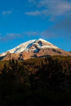 Peak orizaba highest mountain in mexico veracruz, mountain and forest landscape in the morning cold dawn and snow