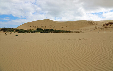Fototapeta na wymiar Grand sand dunes - New Zealand