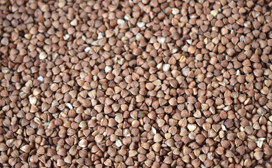buckwheat. fresh buckwheat. background of dry buckwheat
