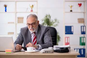 Old male bookkeeper working in the office