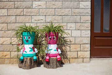 Flower pots in the shape of funny men with Chlorophytum near brick wall. Home plants