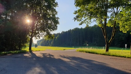 sunset in the park