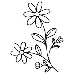 Fototapeta na wymiar Flower Plant Leaves hand drawn Line Art Illustration
