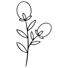 Flower Plant Leaves hand drawn Line Art Illustration