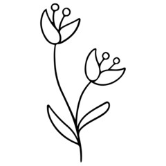 Flower Plant Leaves hand drawn Line Art Illustration