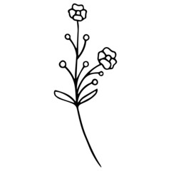 Flower Plant Leaves hand drawn Line Art Illustration