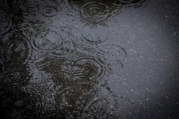 Fototapeta premium 水たまりの波紋 Ripples of a puddle