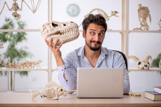 Young male paleontologist examining ancient animals at lab